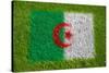 Flag of Algeria on Grass-raphtong-Stretched Canvas