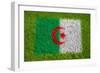 Flag of Algeria on Grass-raphtong-Framed Premium Giclee Print