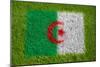 Flag of Algeria on Grass-raphtong-Mounted Premium Giclee Print