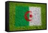 Flag of Algeria on Grass-raphtong-Framed Stretched Canvas