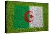 Flag of Algeria on Grass-raphtong-Stretched Canvas