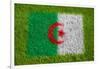 Flag of Algeria on Grass-raphtong-Framed Art Print