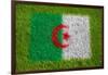 Flag of Algeria on Grass-raphtong-Framed Art Print