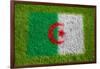 Flag of Algeria on Grass-raphtong-Framed Art Print