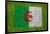 Flag of Algeria on Grass-raphtong-Framed Art Print