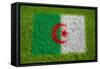 Flag of Algeria on Grass-raphtong-Framed Stretched Canvas