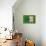 Flag of Algeria on Grass-raphtong-Stretched Canvas displayed on a wall