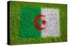 Flag of Algeria on Grass-raphtong-Stretched Canvas