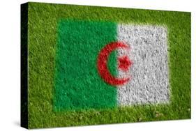 Flag of Algeria on Grass-raphtong-Stretched Canvas