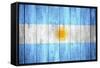 Flag Of Argentina-Miro Novak-Framed Stretched Canvas