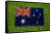 Flag of Australia on Grass-raphtong-Framed Stretched Canvas