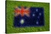Flag of Australia on Grass-raphtong-Stretched Canvas