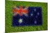 Flag of Australia on Grass-raphtong-Mounted Art Print