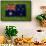 Flag of Australia on Grass-raphtong-Framed Stretched Canvas displayed on a wall