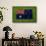 Flag of Australia on Grass-raphtong-Framed Stretched Canvas displayed on a wall