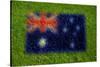 Flag of Australia on Grass-raphtong-Stretched Canvas