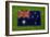 Flag of Australia on Grass-raphtong-Framed Art Print