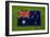 Flag of Australia on Grass-raphtong-Framed Art Print