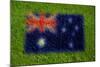 Flag of Australia on Grass-raphtong-Mounted Art Print