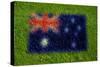 Flag of Australia on Grass-raphtong-Stretched Canvas