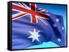 Flag Of Australia-bioraven-Framed Stretched Canvas