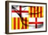 Flag of Barcelona-Trots1905-Framed Art Print