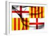 Flag of Barcelona-Trots1905-Framed Art Print