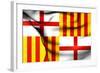 Flag of Barcelona-Trots1905-Framed Art Print