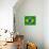 Flag Of Brazil-talitha-Stretched Canvas displayed on a wall