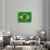 Flag Of Brazil-talitha-Art Print displayed on a wall