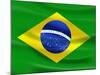 Flag Of Brazil-talitha-Mounted Art Print