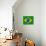 Flag Of Brazil-talitha-Art Print displayed on a wall