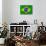 Flag Of Brazil-talitha-Art Print displayed on a wall