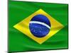 Flag Of Brazil-talitha-Mounted Premium Giclee Print