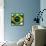 Flag Of Brazil-ilolab-Framed Stretched Canvas displayed on a wall