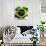 Flag Of Brazil-ilolab-Art Print displayed on a wall