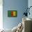 Flag of Cameroon on Grass-raphtong-Framed Stretched Canvas displayed on a wall