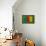 Flag of Cameroon on Grass-raphtong-Framed Stretched Canvas displayed on a wall