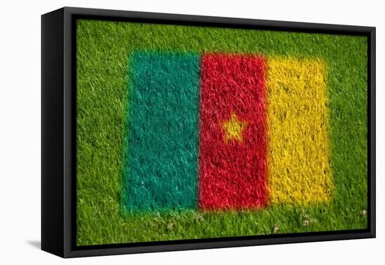 Flag of Cameroon on Grass-raphtong-Framed Stretched Canvas