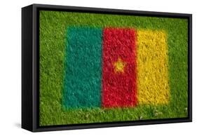 Flag of Cameroon on Grass-raphtong-Framed Stretched Canvas