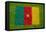 Flag of Cameroon on Grass-raphtong-Framed Stretched Canvas