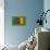 Flag of Cameroon on Grass-raphtong-Stretched Canvas displayed on a wall