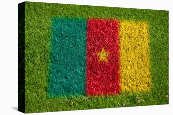 Flag of Cameroon on Grass-raphtong-Stretched Canvas