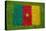 Flag of Cameroon on Grass-raphtong-Stretched Canvas