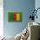 Flag of Cameroon on Grass-raphtong-Art Print displayed on a wall