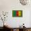 Flag of Cameroon on Grass-raphtong-Art Print displayed on a wall