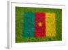 Flag of Cameroon on Grass-raphtong-Framed Art Print