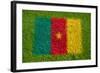 Flag of Cameroon on Grass-raphtong-Framed Art Print