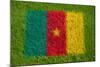 Flag of Cameroon on Grass-raphtong-Mounted Art Print
