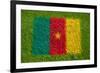 Flag of Cameroon on Grass-raphtong-Framed Art Print